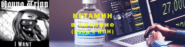 шишки Наволоки