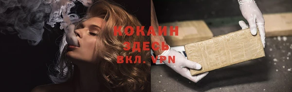 шишки Наволоки