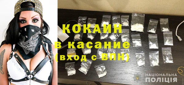 шишки Наволоки