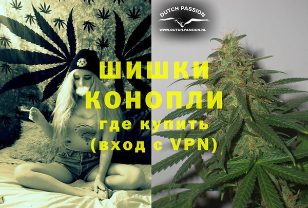 шишки Наволоки