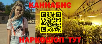 кокс Гатчина