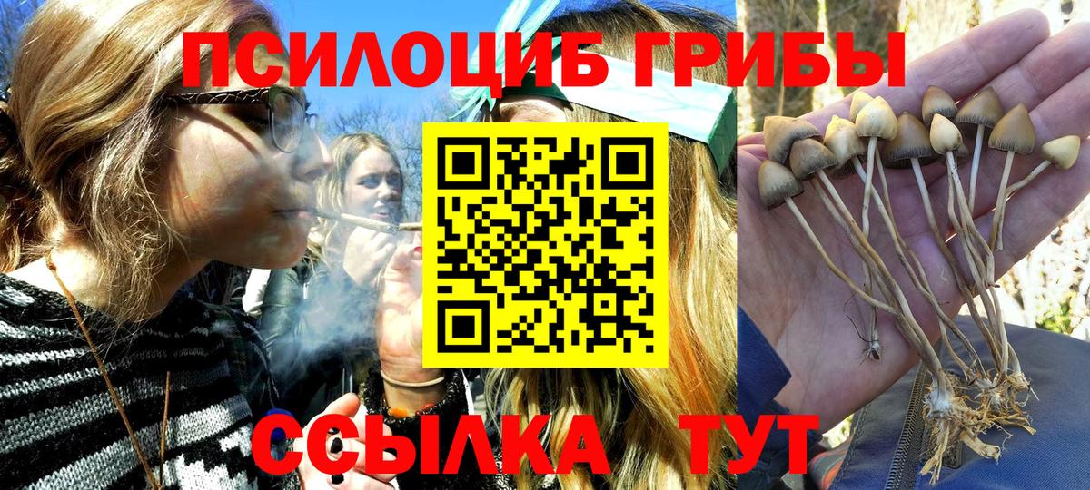 Галлюциногенные грибы Magic Shrooms  Иваново  Галлюциногенные грибы прущие грибы 